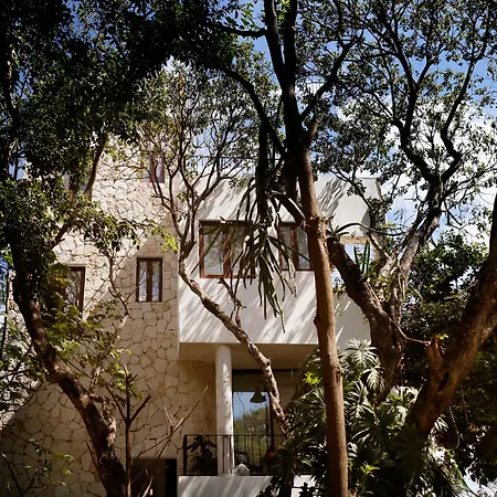 Hotel La Semilla A Member Of Design Hotels (Adults Only)-3
